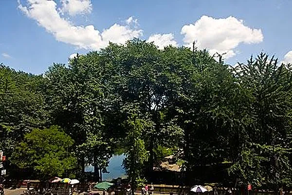 Sold by Keller Williams NYC | media 6