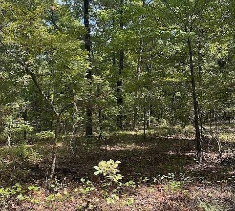 3rd image of 0 Ross Hollow Rd