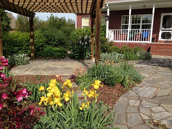 Backyard living Space