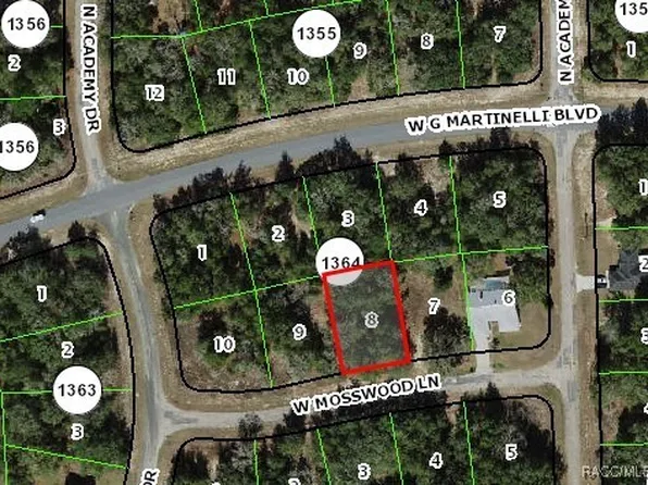 1397 W Mosswood Ln, Citrus Springs, FL 34434