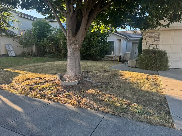 3231 Strickland Dr — Photo 1