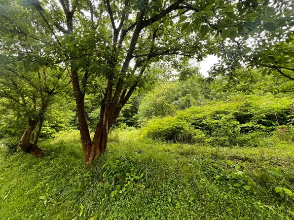 551 Lost Fork Rd, Manchester, KY 40962