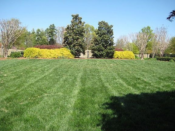 Fenced Back Yard is Huge!