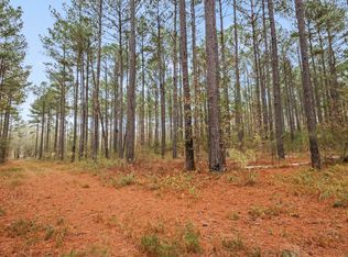 939 Hunter Rd, Ellaville, GA 31806