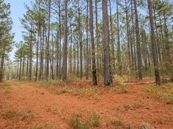 939 Hunter Rd, Ellaville, GA 31806