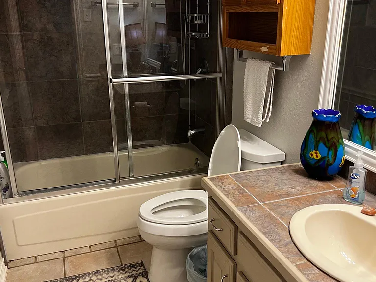 Guest bath