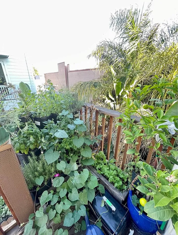 1337 Natoma St — Photo 1