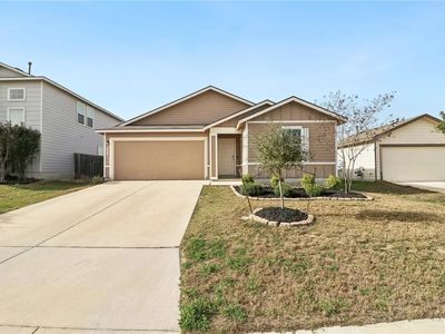 14711 Hooded Merganser, San Antonio, TX, 78253