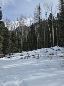 1629 GCR 137, Kremmling, CO, 80459