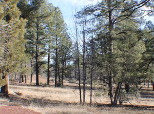 4553 S Indian Trl, Show Low, AZ 85901
