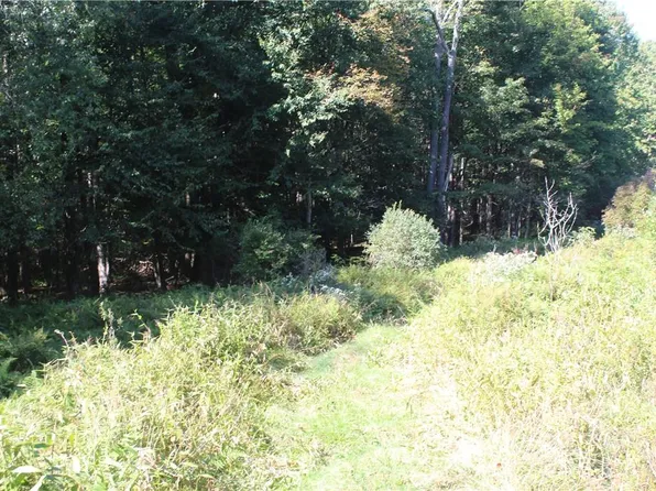 Old Monticello Road, Ferndale, NY 12734