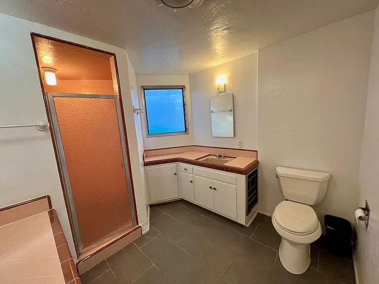 Toilet, sink, shower area