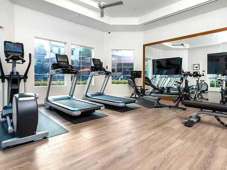 Modern Fitness Studio Featuring Bikes, Treadmills, and Large Mirrors