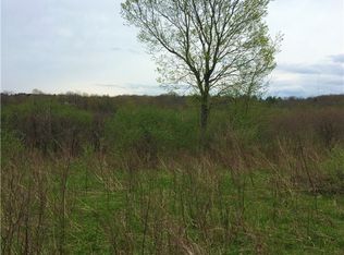 Hayes Hollow Rd, Colden, NY 14033