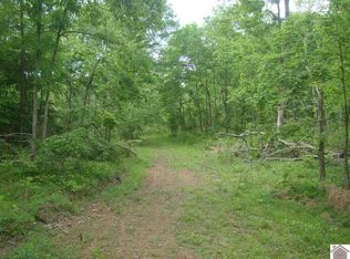 473 Donaldson Creek Rd, Cadiz, KY 42211