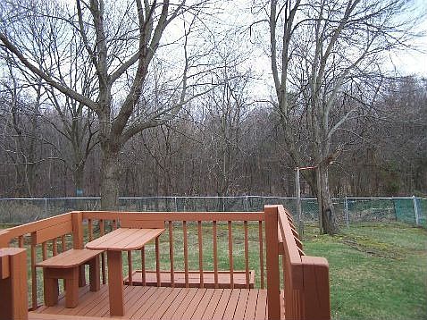  Backs To Woods & Deck
