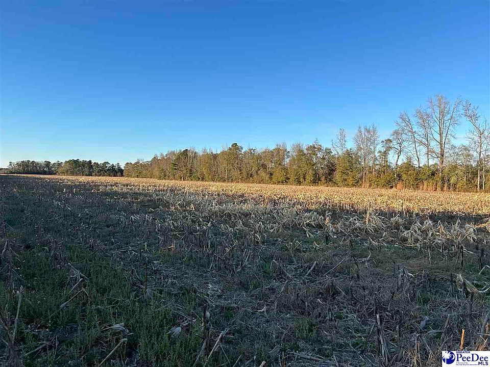 2nd image of County Line Rd