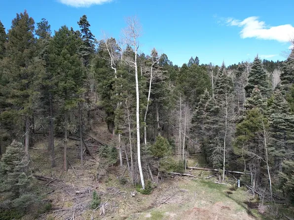 Apache Cir, Angel Fire, NM 87710