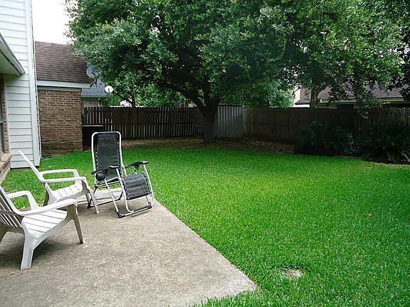 Patio and Backyard