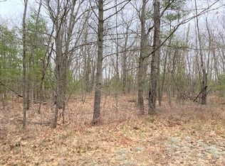 Pipeline Rd, Topinabee, MI 49791