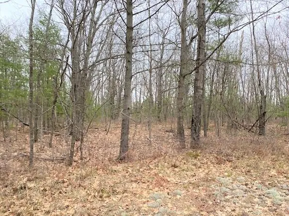 Pipeline Rd, Topinabee, MI 49791