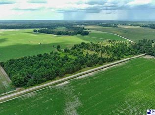 3112 Wesley Chapel Rd, Lamar, SC 29069