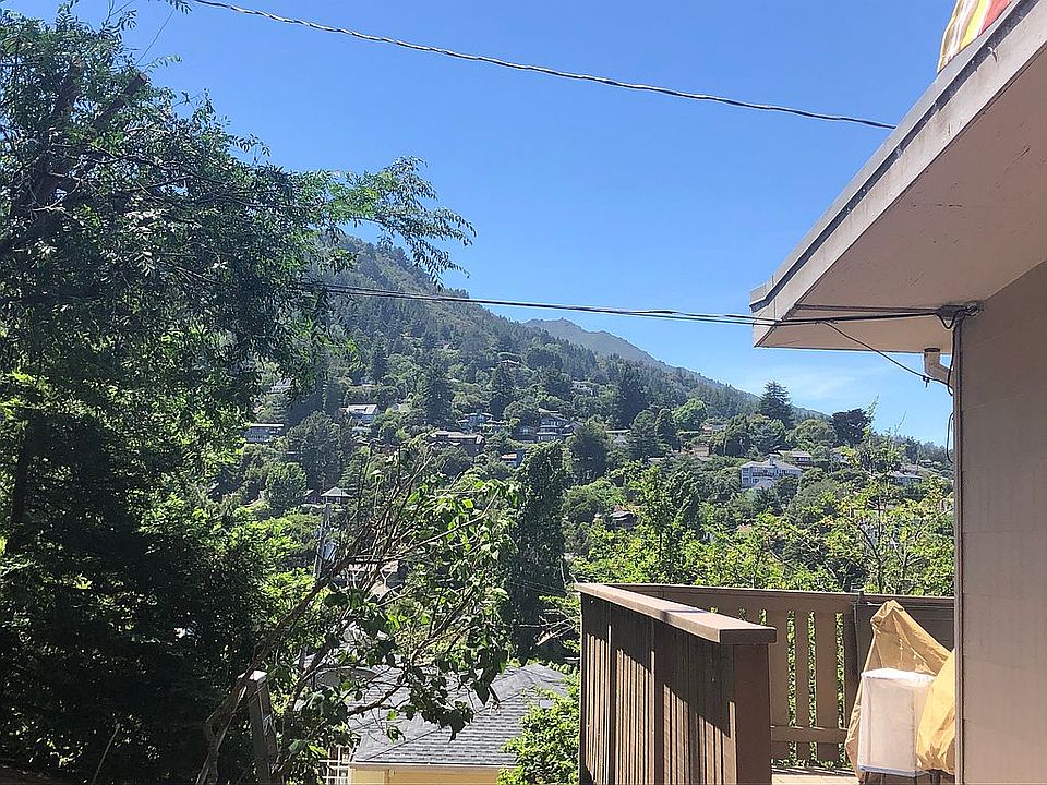 Mount Tamalpais view!