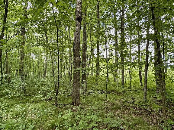 3rd image of 25478 185th Avenue