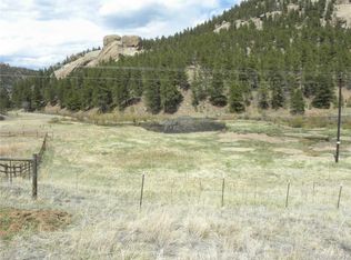 28207 Pine St, Pine, CO 80470