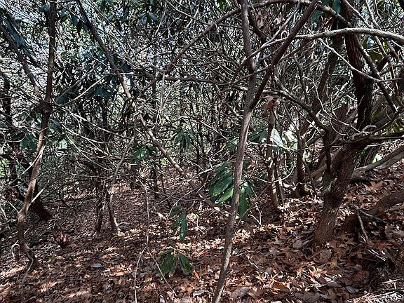 2nd image of 38 High Peak Rd