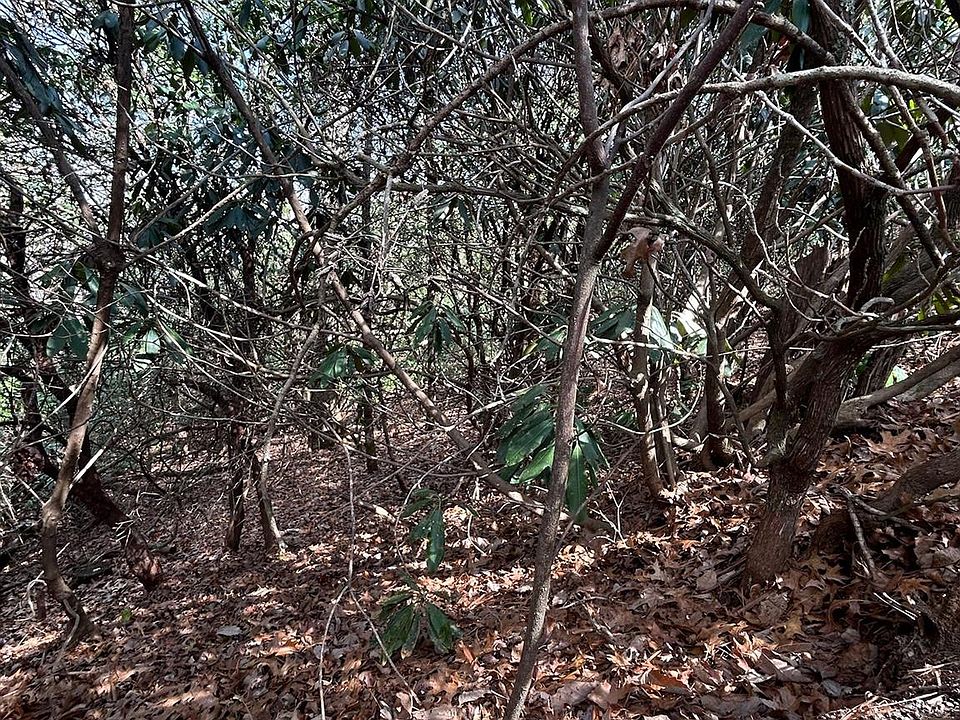 2nd image of 38 High Peak Rd