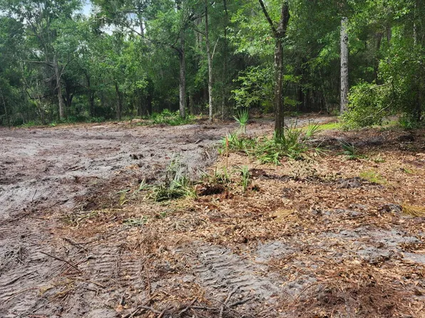 147 Heathton St, Georgetown, FL 32139