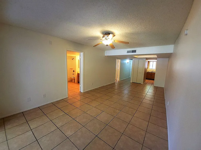 1215 E Lemon St #113 — Photo 4