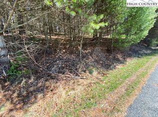 Pruitt Cove Rd, Laurel Springs, NC 28644