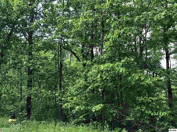 3rd image of 52 Cloud View Dr Lot 52
