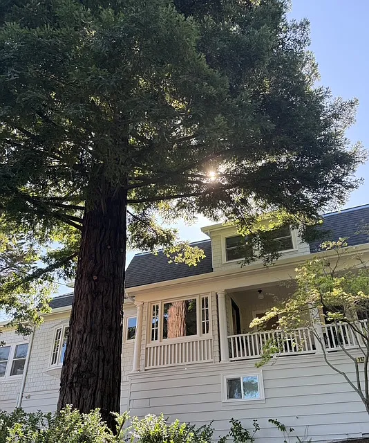 267 Corte Madera Ave photo 1