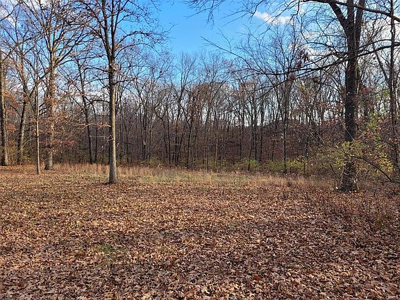2nd image of 128 Saxony Woods Dr