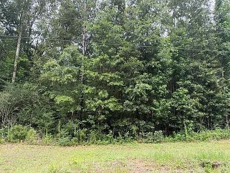 2nd image of 0 Soda Loop E Lot 4