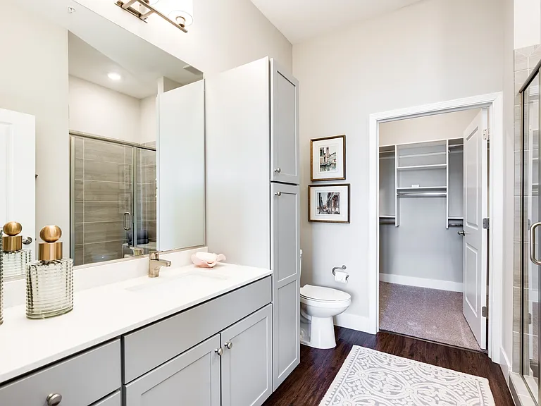 Bathroom and Walk in Closet