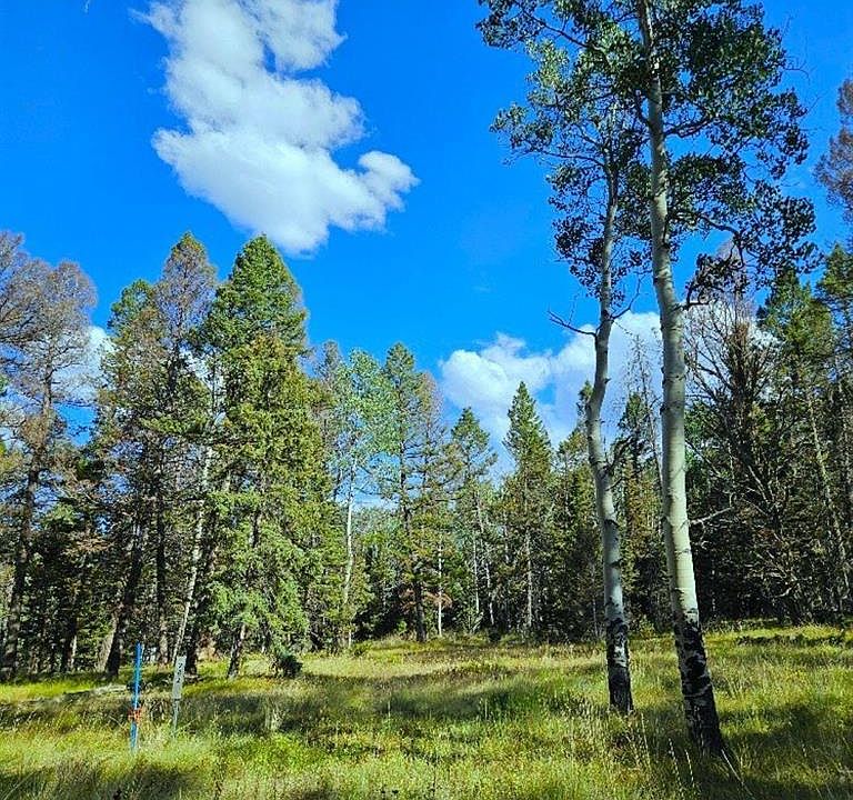1st image of 282 Aspen Trail
