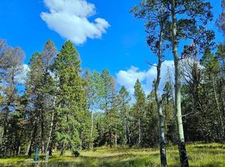 282 Aspen Trail, Cimarron, CO 81220