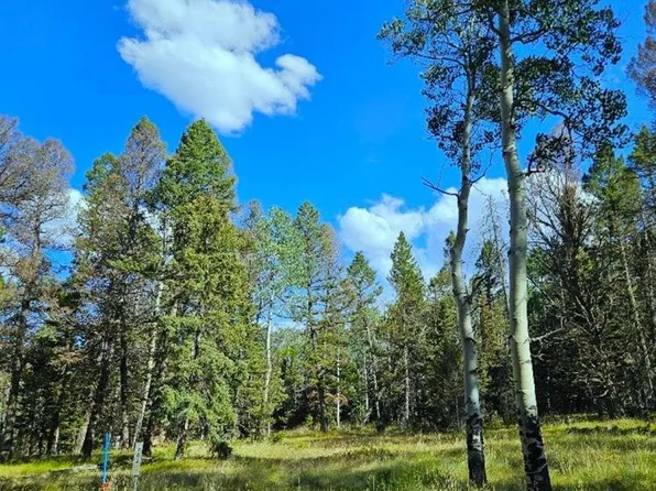 282 Aspen Trail, Cimarron, CO 81220