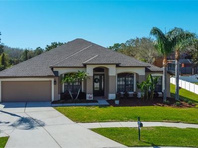14813 Princewood Ln, Land O Lakes, FL, 34638
