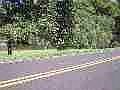 2nd image of B B 0th Ln #B