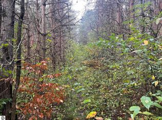 0 W 4th Rd, Buckley, MI 49620