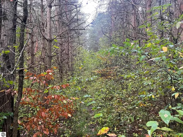 0 W 4th Rd, Buckley, MI 49620