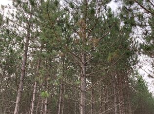 On Burrows Lake Rd, Tomahawk, WI 54487