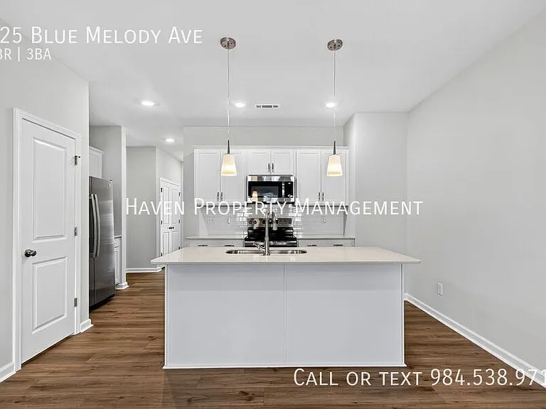 125 Blue Melody Ave — Photo 8