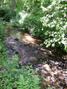17 Timberlake Rd, Blue Ridge, GA, 30513