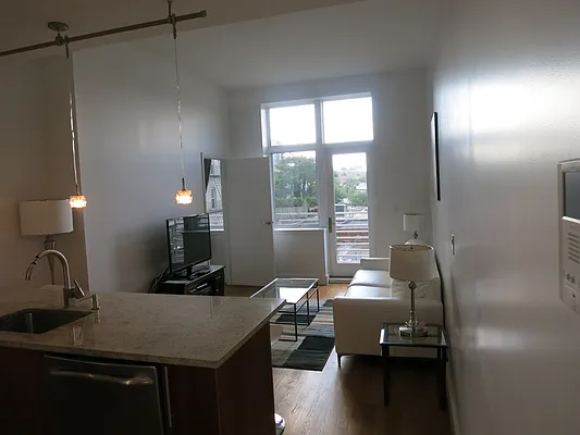 Rented by City View Living | media 23